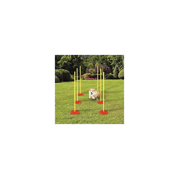 Agility Sport Pour Chien Slalom - Slalom Pour Chien - Lot De 6 Poteaux + Pied À Lester - Sac De Transport Inclus Jaune