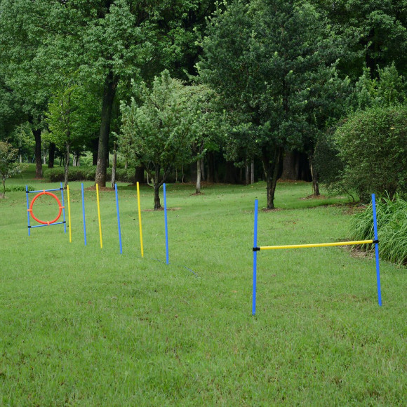 Agility Sport Pour Chiens Équipement Complet : 6 Poteaux Slalom, Obstacle, Anneau + Sac De Transport Bleu Jaune Rouge