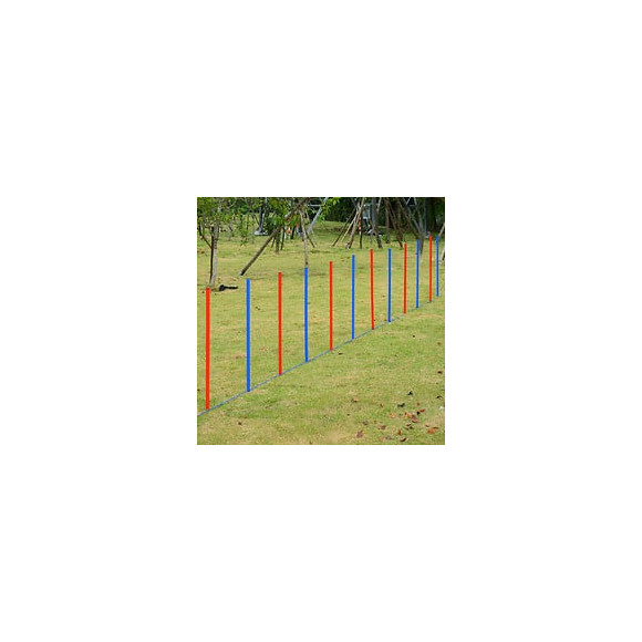 Agility Sport Pour Chien Slalom - Slalom Pour Chien - Lot De 12 Poteaux + Ancrage Sol - Sac De Transport Inclus Rouge Bleu