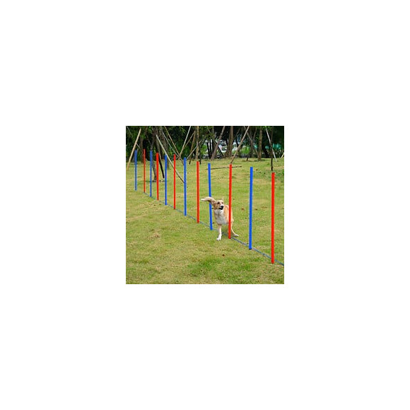 Agility Sport Pour Chien Slalom - Slalom Pour Chien - Lot De 12 Poteaux + Ancrage Sol - Sac De Transport Inclus Rouge Bleu