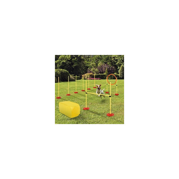 Agility Sport Pour Chiens Équipement Complet Haies, Slalom, Tunnel + Sac De Transport Jaune