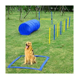 Agility Sport Pour Chiens Équipement Complet Obstacle, Tunnel, Slalom, Zone Repos + Sac De Transport Bleu Jaune