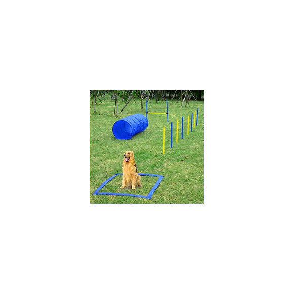 Agility Sport Pour Chiens Équipement Complet Obstacle, Tunnel, Slalom, Zone Repos + Sac De Transport Bleu Jaune