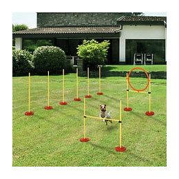 Agility Sport Pour Chiens Équipement Complet Haies, Slalom + Sac De Transport Jaune