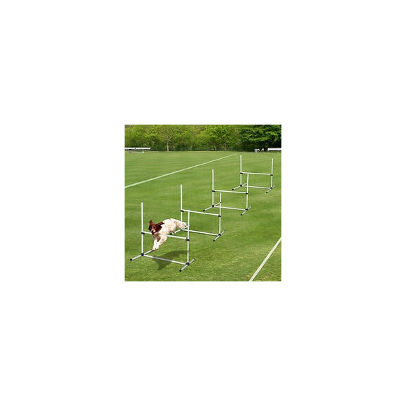 Agility Sport Pour Chiens Set De 4 Obstacles Professionnels Avec Système De Maintien Au Sol 95l X 65l X 95h Cm Sac Transport F
