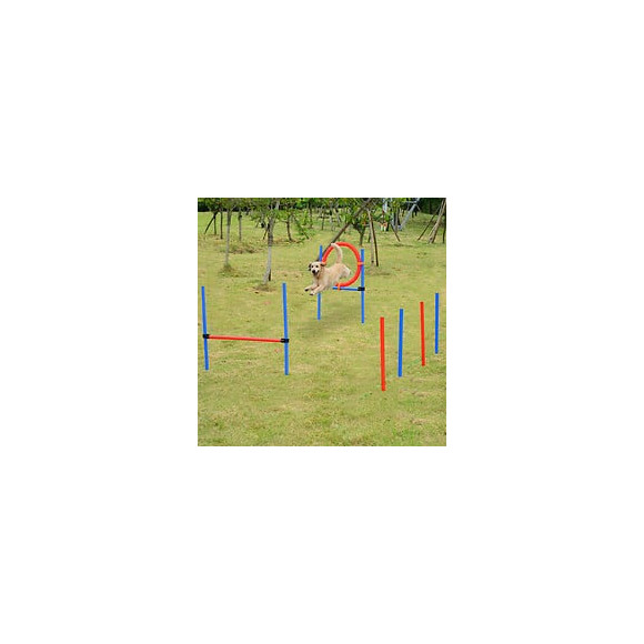 Agility Sport Pour Chiens Équipement Complet Obstacles Et Entrainement 11 Pièces Avec Sac De Transport Acier Rouge Et Bleu