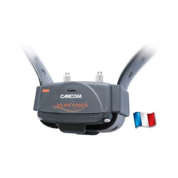 Ensemble Dressage Chien A Distance Canicom 800
