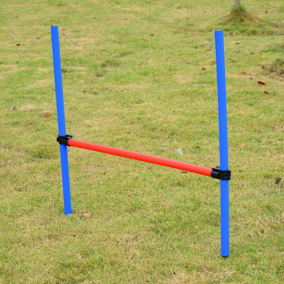 Agility Sport Pour Chiens Équipement Complet Obstacles Et Entrainement 11 Pièces Avec Sac De Transport Acier Rouge Et Bleu
