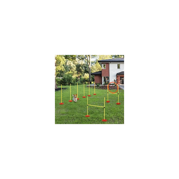 Agility Sport Pour Chiens Équipement Complet Haies, Slalom + Sac De Transport Jaune