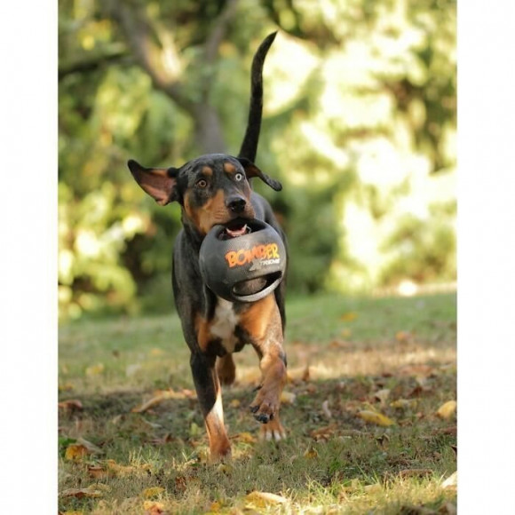 Zeus Balle Mini Xtreme Bomber En Caoutchouc 11,4 Cm - Noir Et Orange - Pour Chien