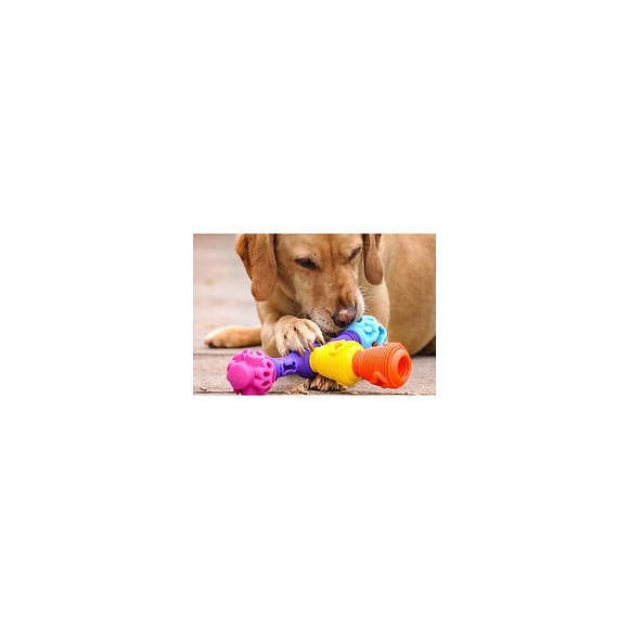 Coffret K9 Connectables Starter Pack Jouet Puzzle Stimulant Pour Chiens Mini - Bleu/violet/rose