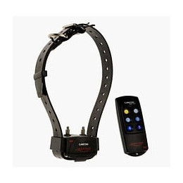 Canicom 200 First - Ensemble Deduction A Distance Numaxes