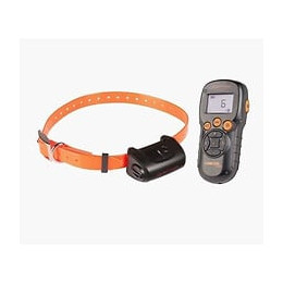 Numaxes Ensemble De Dressage Canicom 5.202 Avec Une Portee De 200 M - Pour 1 Ou 2 Chiens