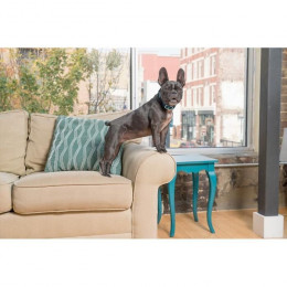 Petsafe Collier Anti-aboiement  71 Cm Pbc19-10765