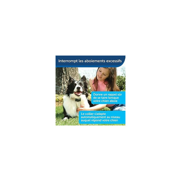 Petsafe Collier Anti-aboiement  71 Cm Pbc19-10765