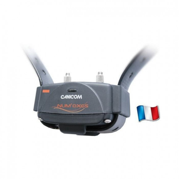 Canicom 200 First - Ensemble Deduction A Distance Numaxes