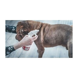 Vetosoin Spray Antiparasitaire, Anti-puces Et Anti-tiques Au Fipronil - 250 Ml - Pour Chat Et Chien