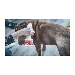 Vetosoin Spray Antiparasitaire, Anti-puces Et Anti-tiques Au Fipronil - 250 Ml - Pour Chat Et Chien