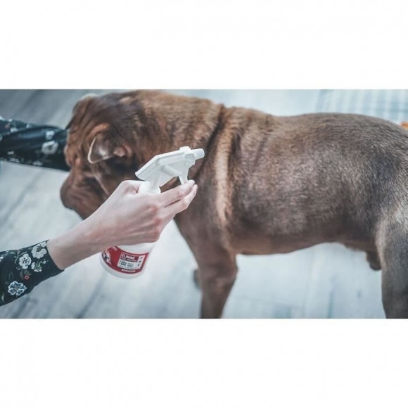 Vetosoin Spray Antiparasitaire, Anti-puces Et Anti-tiques Au Fipronil - 250 Ml - Pour Chat Et Chien