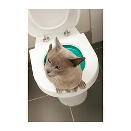 Litter Kwitter Kit De Toilette Pour Chats