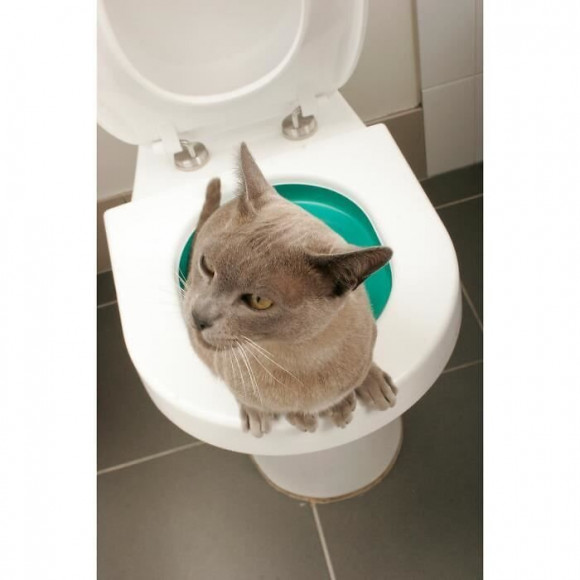 Litter Kwitter Kit De Toilette Pour Chats