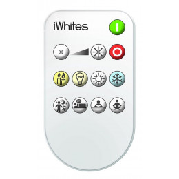 Ampoule Led Iwhites - E27 - 11w 800lm 2700k - Avec Télécommande