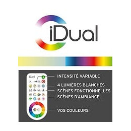 Kit De 2 Ampoules Led Idual - E14 - 7w 470lm 2700k - Avec Télécommande
