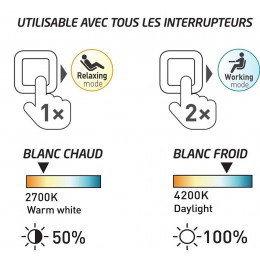 Ampoule Led 2en1 - E27 G100 - 14w 1150lm 2700/4200k