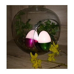 Spécial Paques - Lot De 2 Œufs Led 2x1w Blanc Froid Piles Incluses