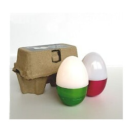 Spécial Paques - Lot De 2 Œufs Led 2x1w Blanc Froid Piles Incluses