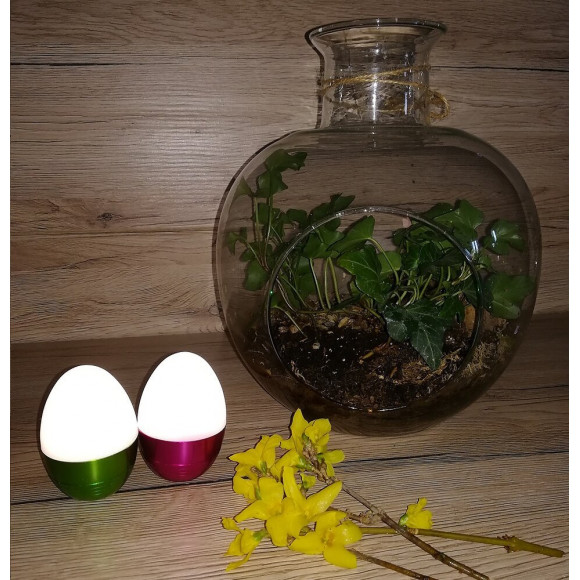 Spécial Paques - Lot De 2 Œufs Led 2x1w Blanc Froid Piles Incluses