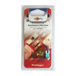 Assortiment 6 Minifuses