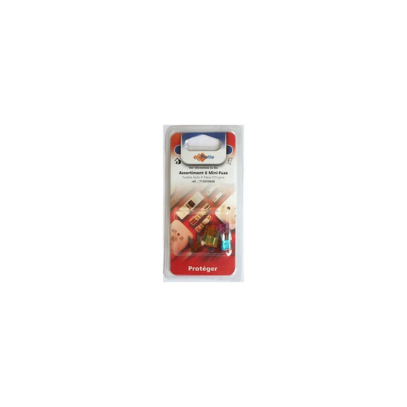 Assortiment 6 Minifuses