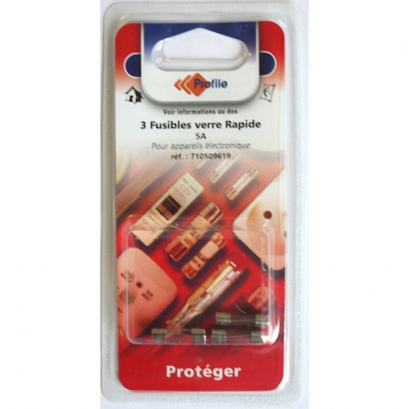 3 Fusibles Verre Rapide 5a