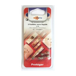 3 Fusibles Verre Rapide 2.5a