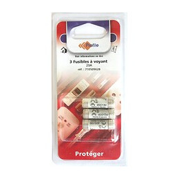 3 Fusibles À Voyant 10.3x31.5mm - 20a