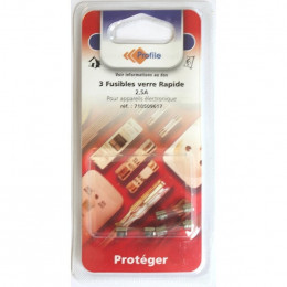 3 Fusibles Verre Rapide 2.5a