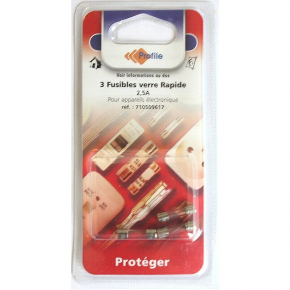 3 Fusibles Verre Rapide 2.5a