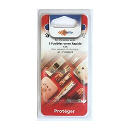 3 Fusibles Verre Rapide 1.6a