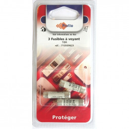 3 Fusibles A Voyant 8.5x31.5 Mm - 16a