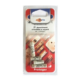 Assortiment 4 Fusibles À Voyant