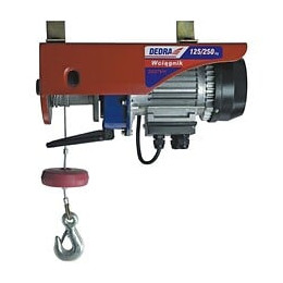 Dtools - Treuil Palan Électrique Garage/atelier - Charge Max 250 Kg - Hauteur De Levage 12 M - Machine Outil D'atelier - Manut