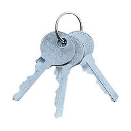 Cadena En Laiton 50 Mm