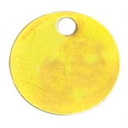 Jeton Neutre En Laiton Ø 30 Mm