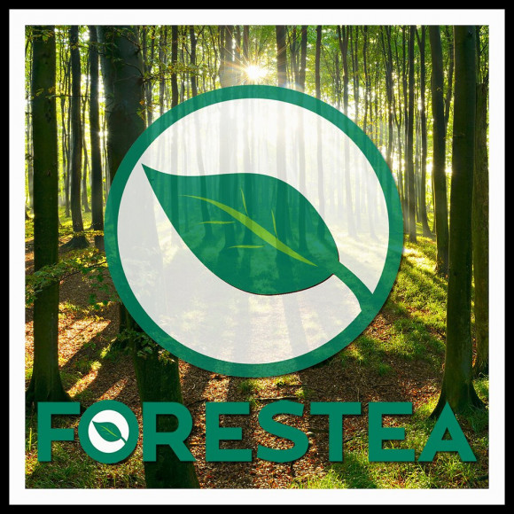 Plateau Chêne Massif Lamellé Collé Abouté 1600 X 800 X 22 Mm - Fsc 100%.