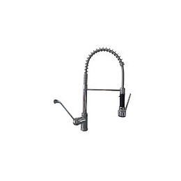 Mitigeur Robinet De Prélavage Complet De Manette Clinique Et Douchette Professionnel