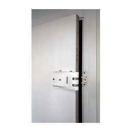 Verrou Invisible Remock Lockey Pro Rlp4w