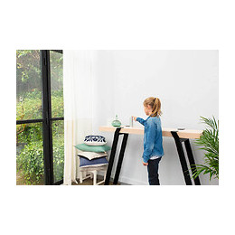 Station Meteo Netatmo Nws01-ec