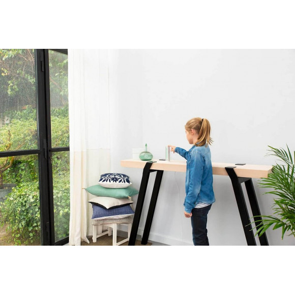 Station Meteo Netatmo Nws01-ec