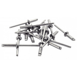Lot De 50 Rivets Inox Diam.4.8 X H.18 Mm Rapid